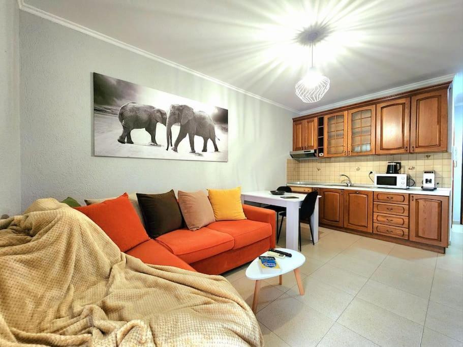 One Bd Flat Near Center With 24H Self Check In Apartment Tirana Exterior photo